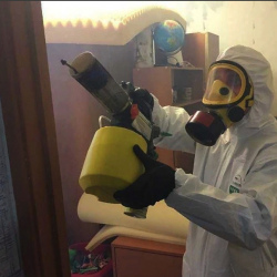 Уничтожение клопов в квартире. Пучеж